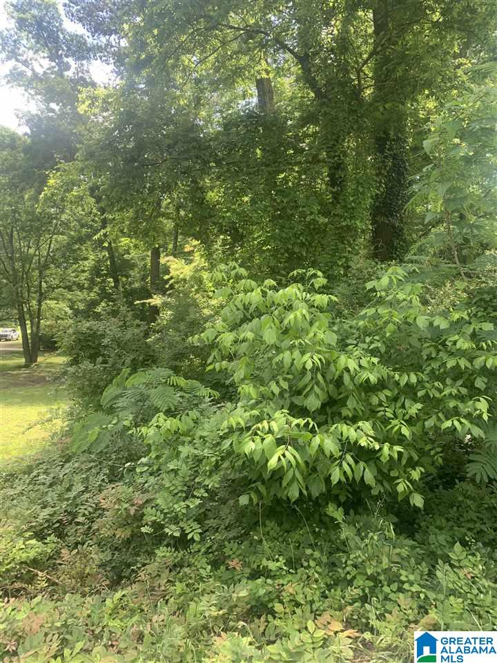 5233 Sutherland Road, Unit LOT 9 PARCEL 2 Mount Olive, AL 35117 - Photo 1 of 1
