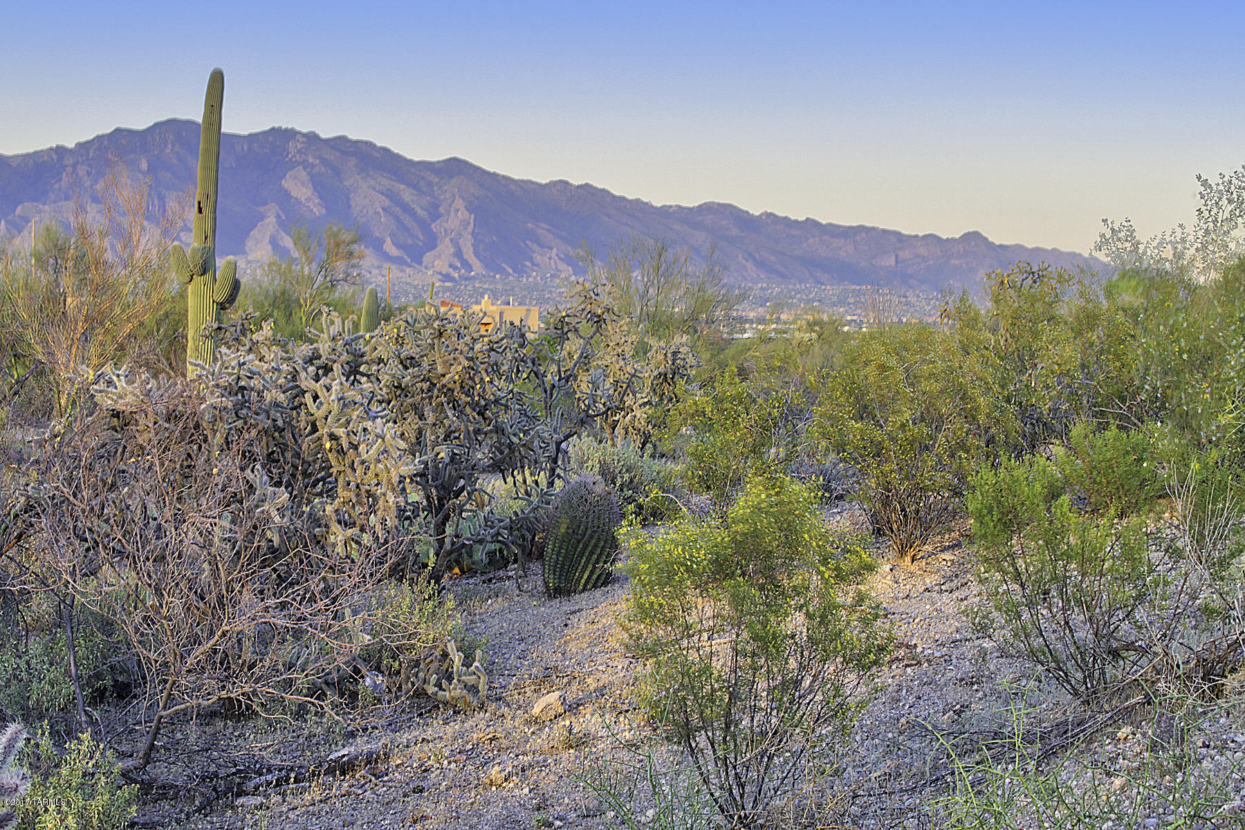 4249 West Goret Road Tucson, AZ 85745 - Photo 33 of 46 Gallery Image 33