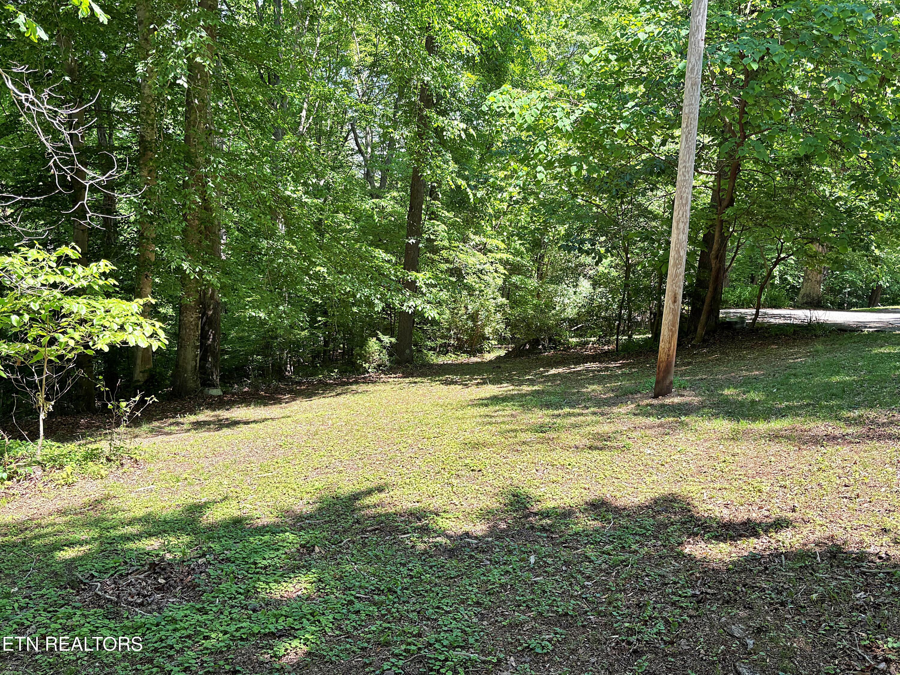 129 Jefferson Street Harrogate, TN 37752 - Photo 24 of 51 IMG_3420