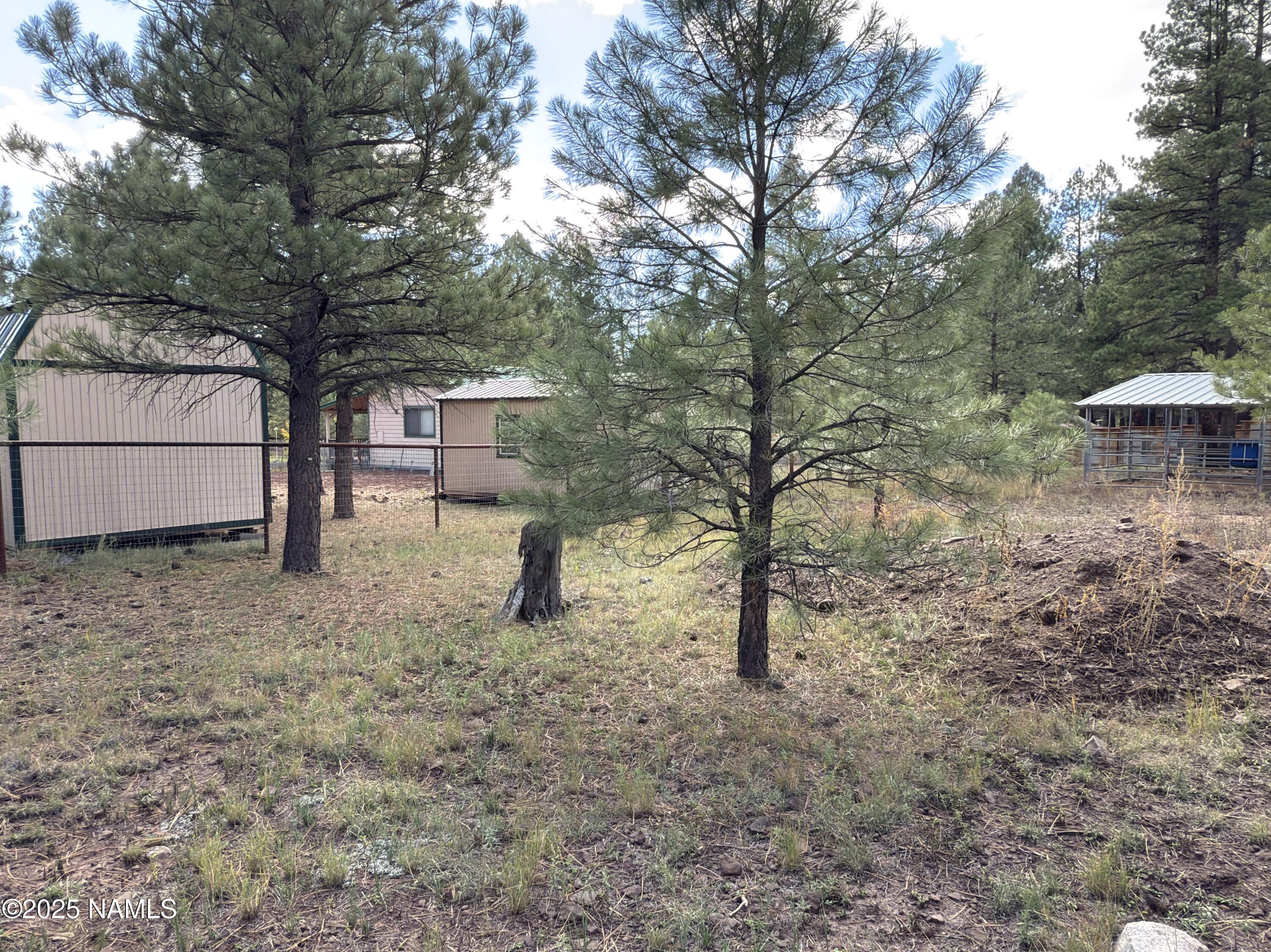 7261 East Long Bow Drive Williams, AZ 86046 - Photo 2 of 43 a view of a backyard with large trees and a barn