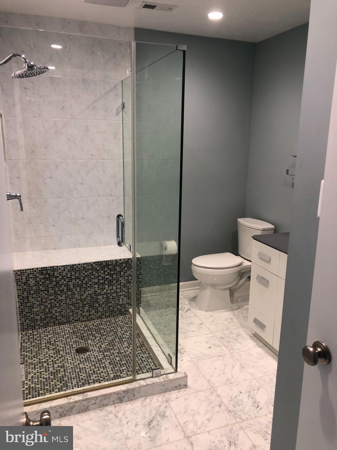 2013 Wethersfield Court Reston, VA 20191 - Photo 17 of 23 Primary Bathroon