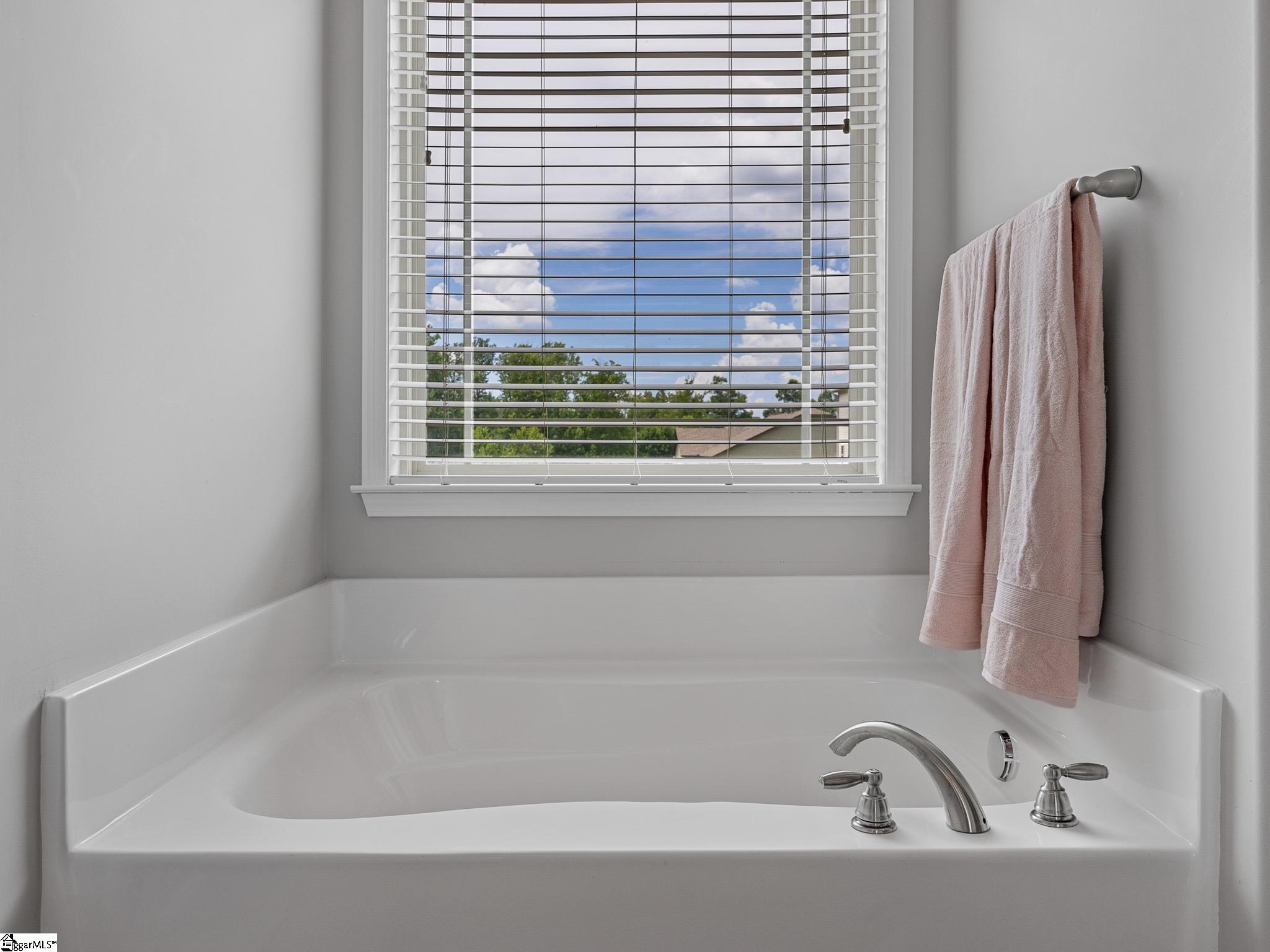 1 Amber Oaks Drive Greer, SC 29651 - Photo 19 of 32