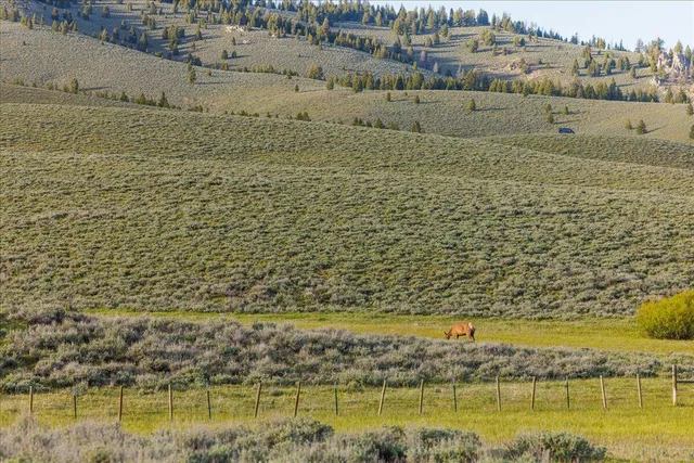 $6,950,000 | 1000 Nip And Tuck Road, Stanley, ID 83278