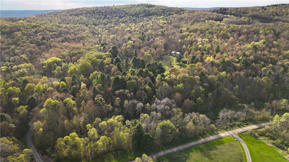 2615 Lockwood Run Road Lockwood, NY 14859 - Photo 3 of 50