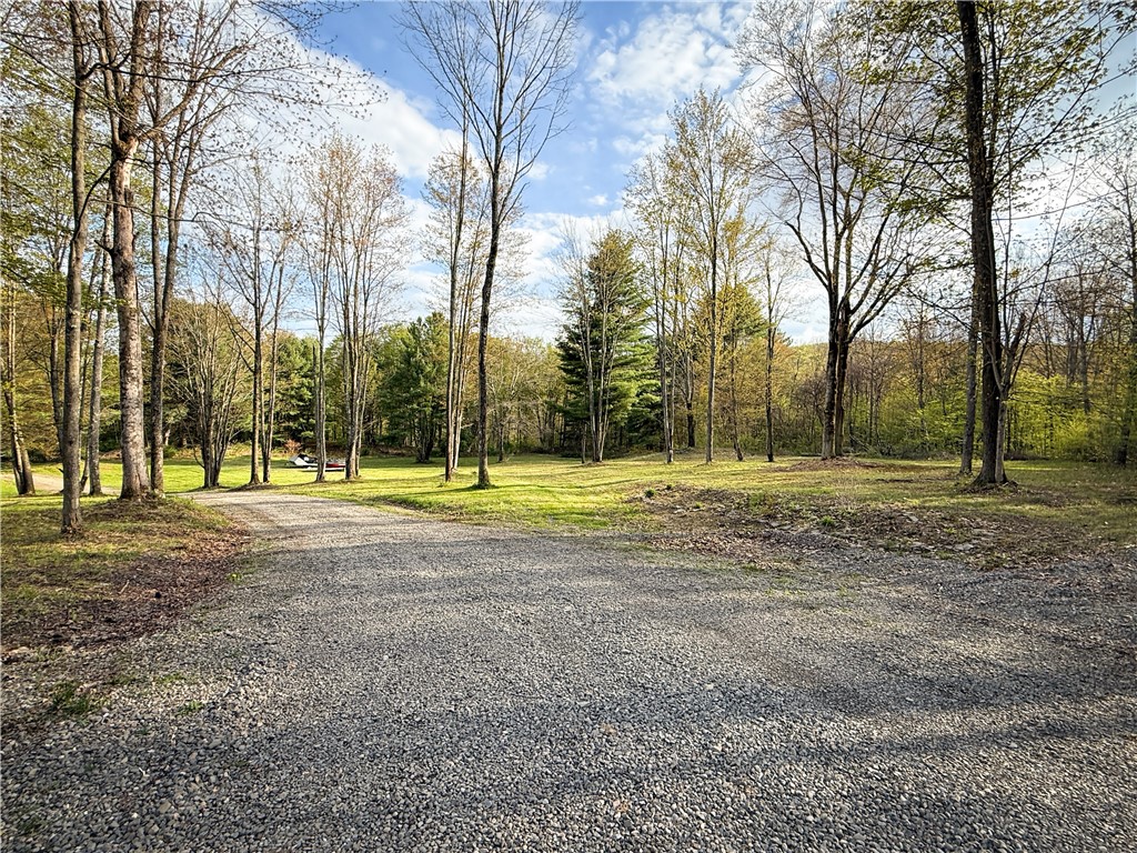 2615 Lockwood Run Road Lockwood, NY 14859 - Photo 37 of 50