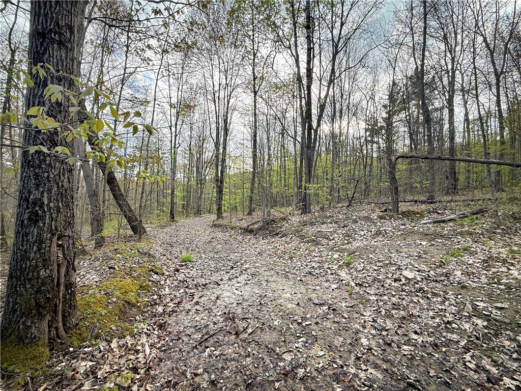 2615 Lockwood Run Road Lockwood, NY 14859 - Photo 39 of 50