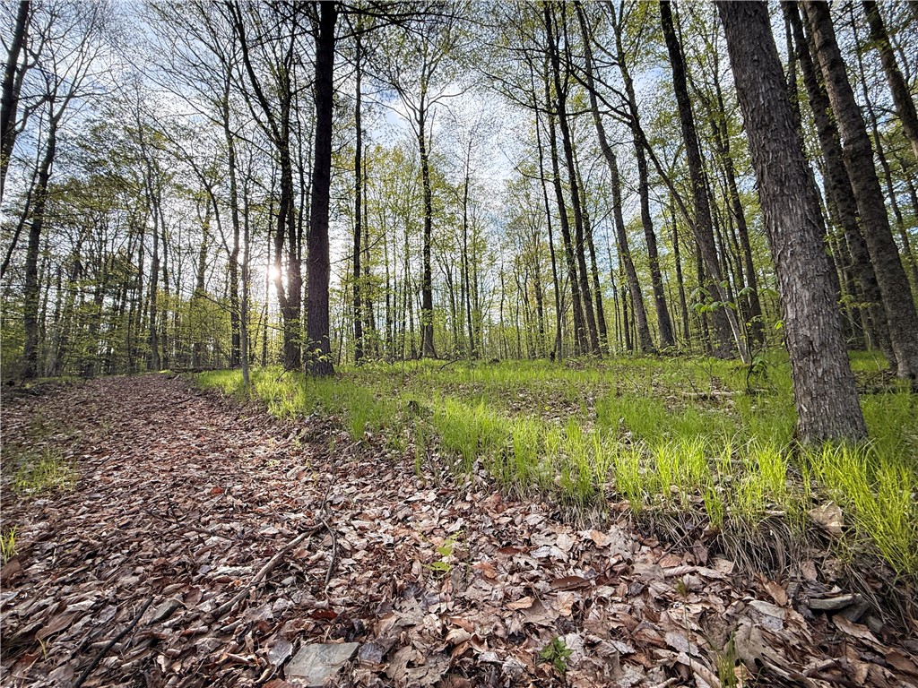 2615 Lockwood Run Road Lockwood, NY 14859 - Photo 40 of 50