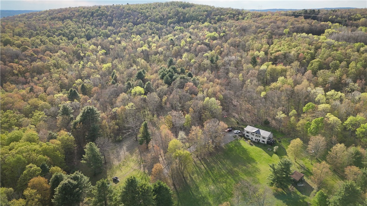 2615 Lockwood Run Road Lockwood, NY 14859 - Photo 4 of 50