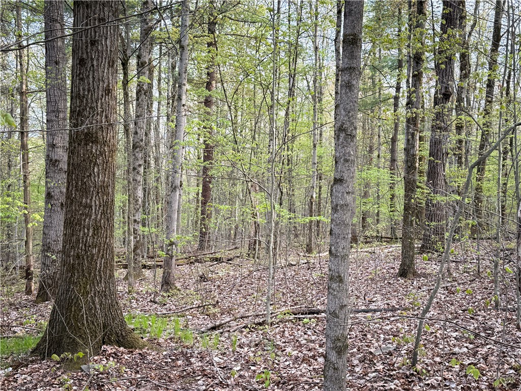 2615 Lockwood Run Road Lockwood, NY 14859 - Photo 41 of 50