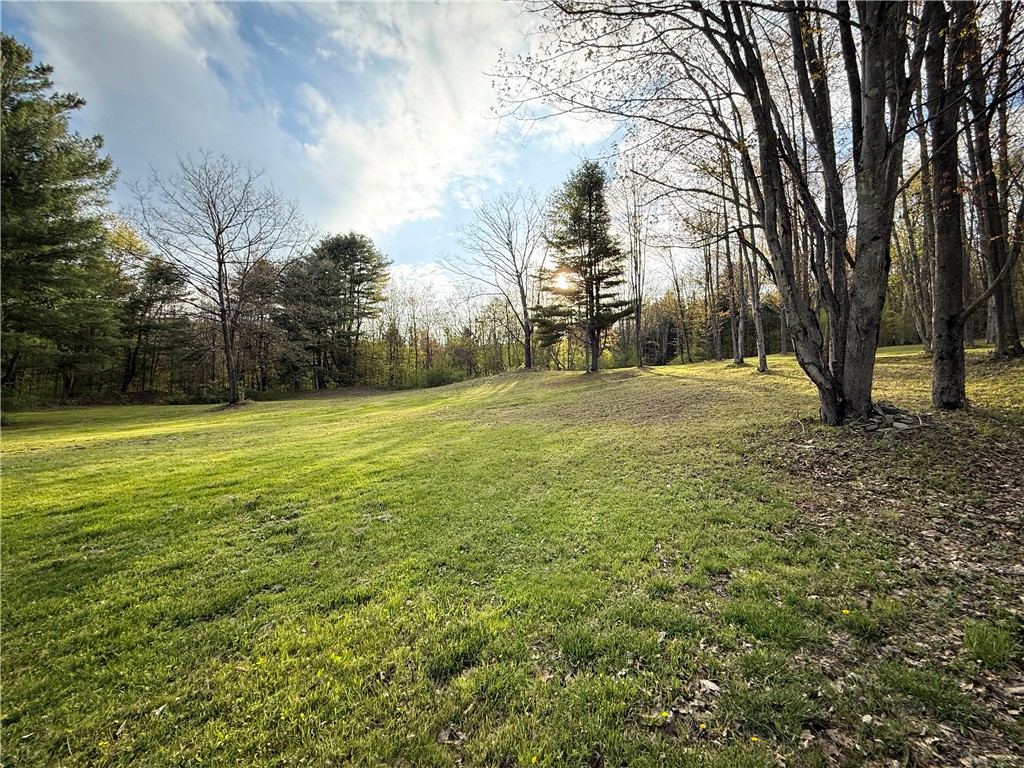 2615 Lockwood Run Road Lockwood, NY 14859 - Photo 42 of 50