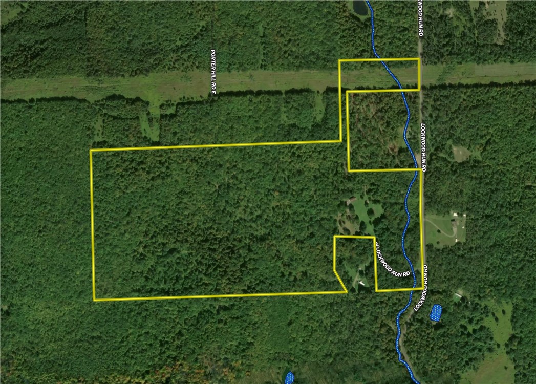 2615 Lockwood Run Road Lockwood, NY 14859 - Photo 47 of 50