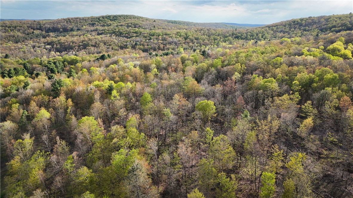 2615 Lockwood Run Road Lockwood, NY 14859 - Photo 6 of 50