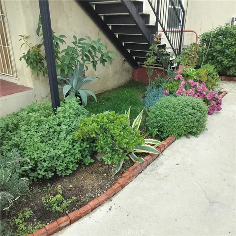 a view of a garden with plants