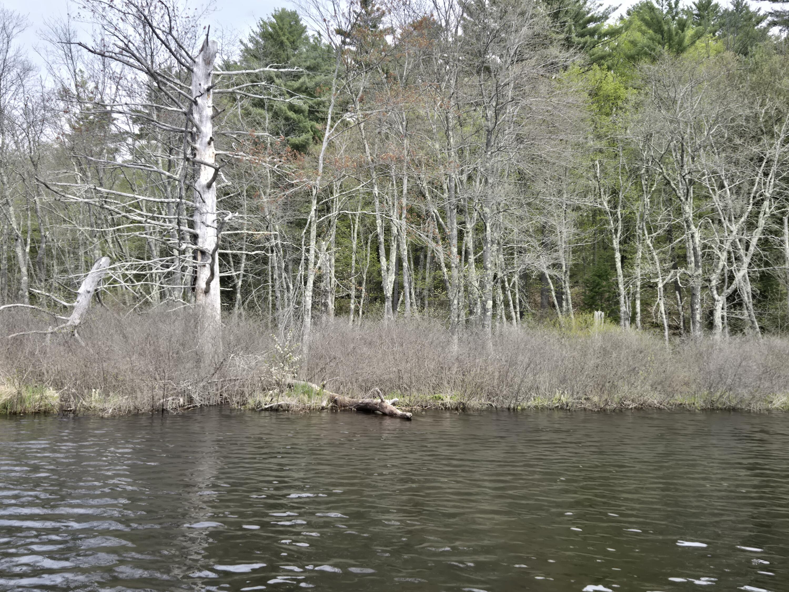 M7-l104-1 M7-l104-1 Lake Skowhegan, ME 04976 - Photo 7 of 11 M7 L104-1 pic 7