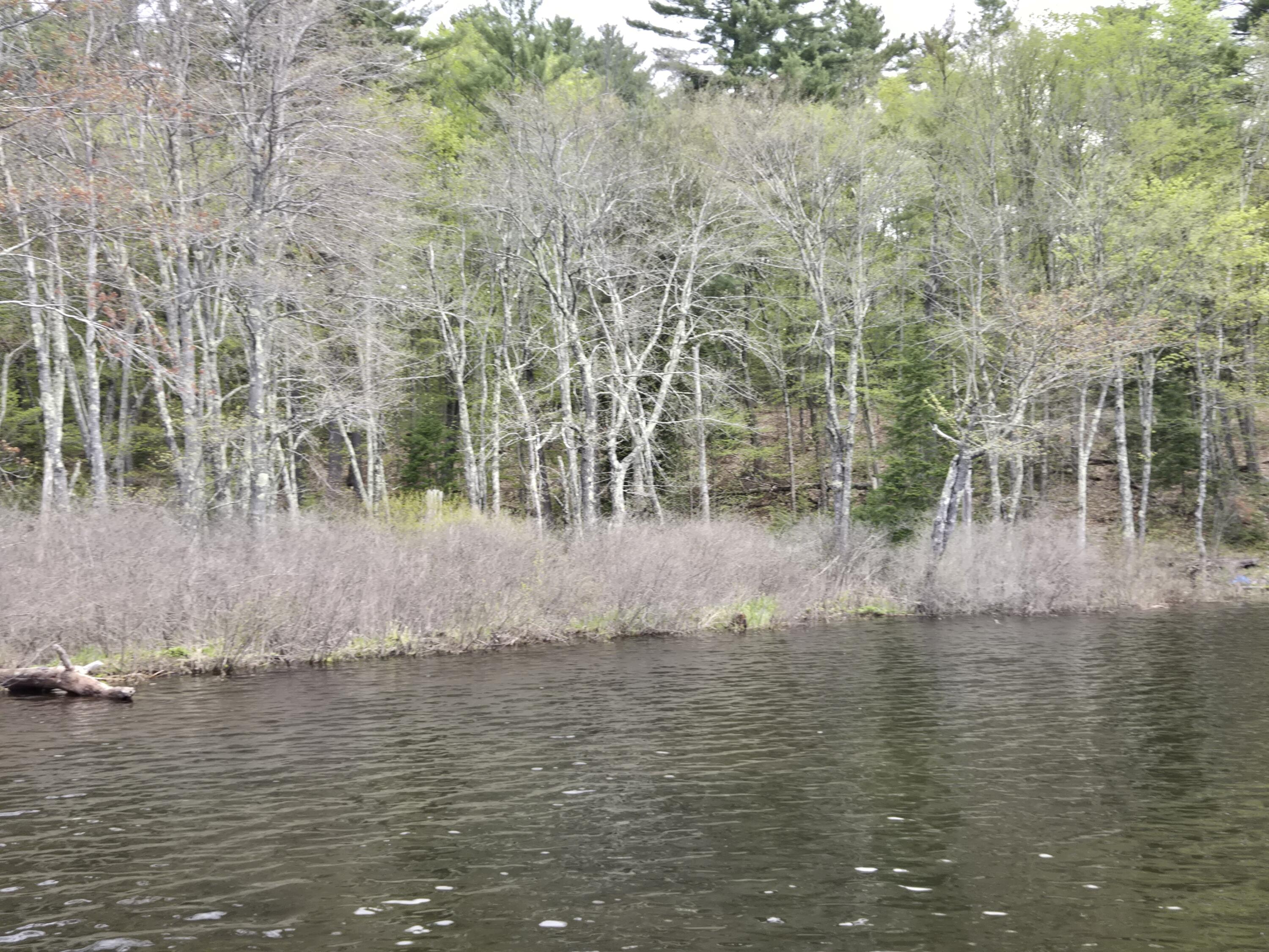 M7-l104-1 M7-l104-1 Lake Skowhegan, ME 04976 - Photo 8 of 11 M7 L104-1 pic 9