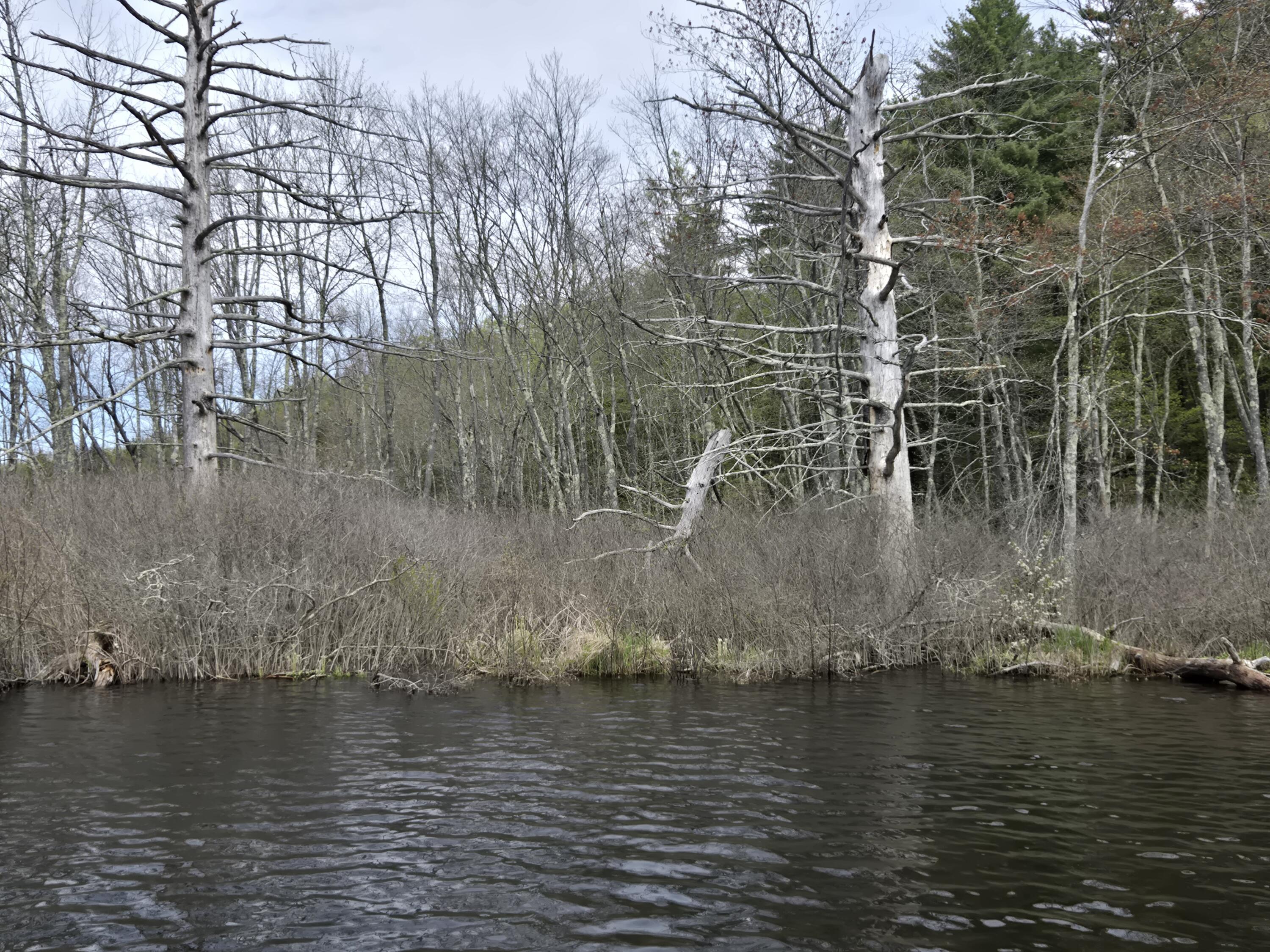 M7-l104-1 M7-l104-1 Lake Skowhegan, ME 04976 - Photo 9 of 11 M7 L104-1 pic 10