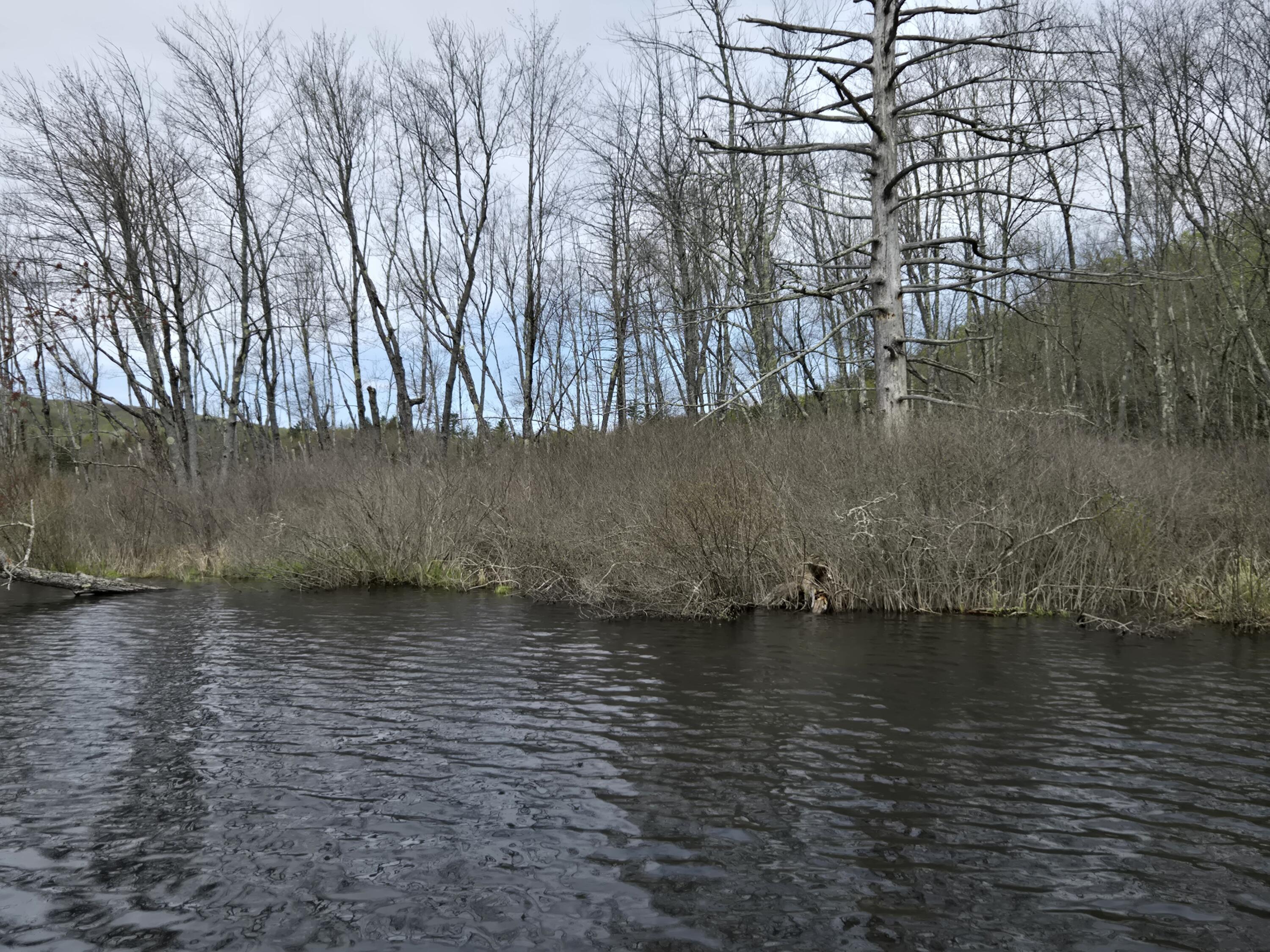 M7-l104-1 M7-l104-1 Lake Skowhegan, ME 04976 - Photo 10 of 11 M7 L104-1 pic 11