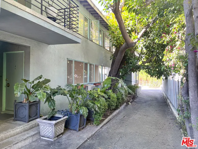 a potted plant sitting in front of a house