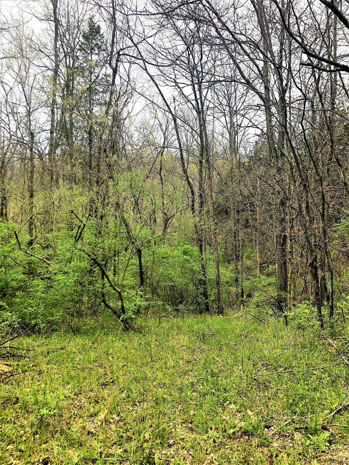 0 Meades Ridge Road Patriot, IN 47038 - Photo 1 of 4 Gallery Image 1