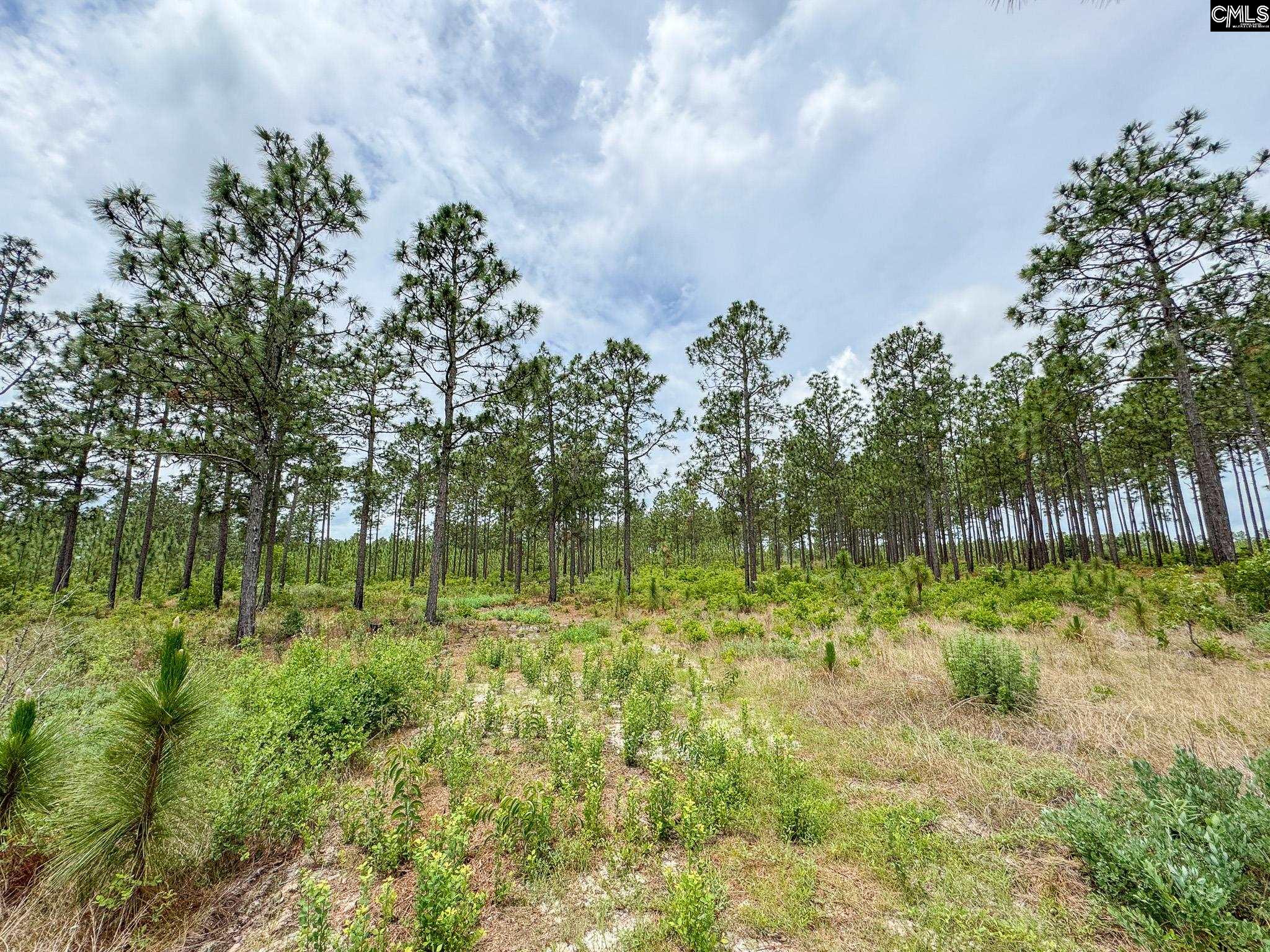 0 Neely Wingard Road, Unit LOT 11 Leesville, SC 29070 - Photo 1 of 6