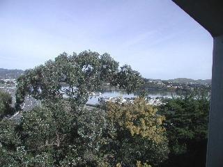 38 Ross Road Sausalito, CA 94965 - Photo 1 of 7 a view of a city with lush green forest