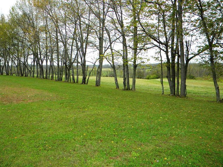 2735 North Middletown Road Paris, KY 40361 - Photo 47 of 54 Photo 47