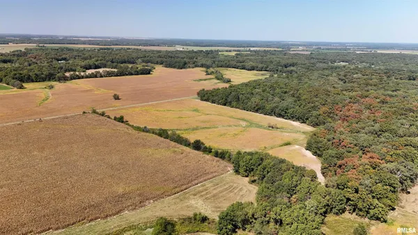 a view of a field