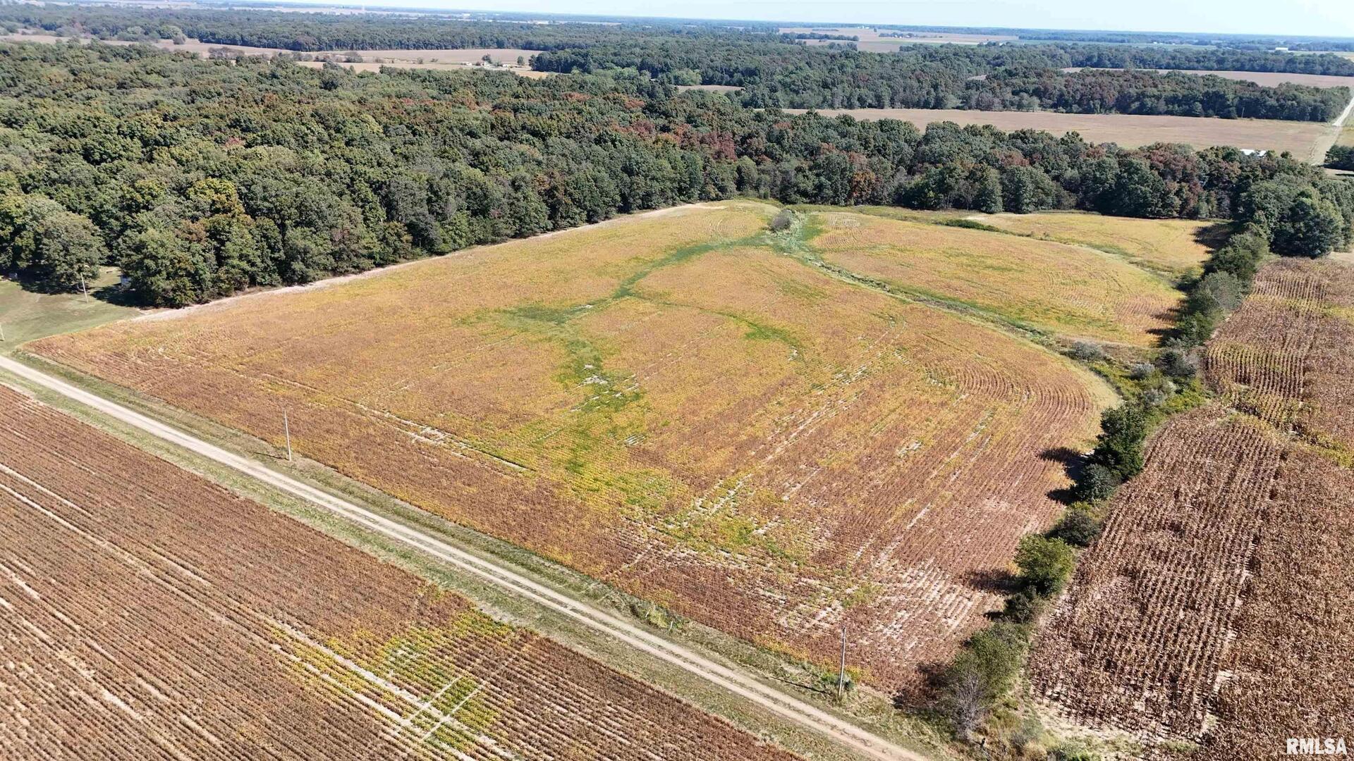E Tallowtree Drive Xenia, IL 62899 - Photo 5 of 5 a view of a field