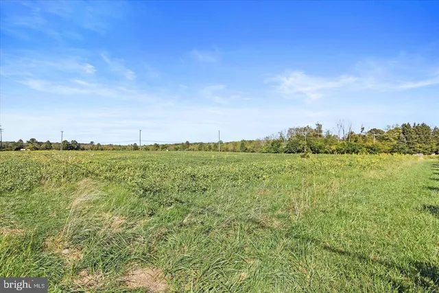 a view of a large body of water with lots of trees
