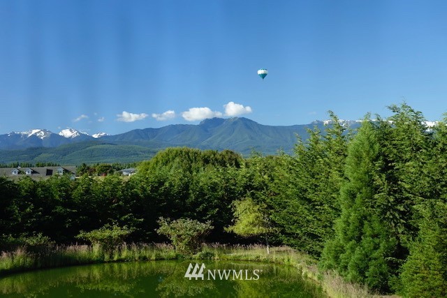 139 Buckhorn Road Sequim, WA 98382 - Photo 3 of 29 a view of a bunch of trees and bushes