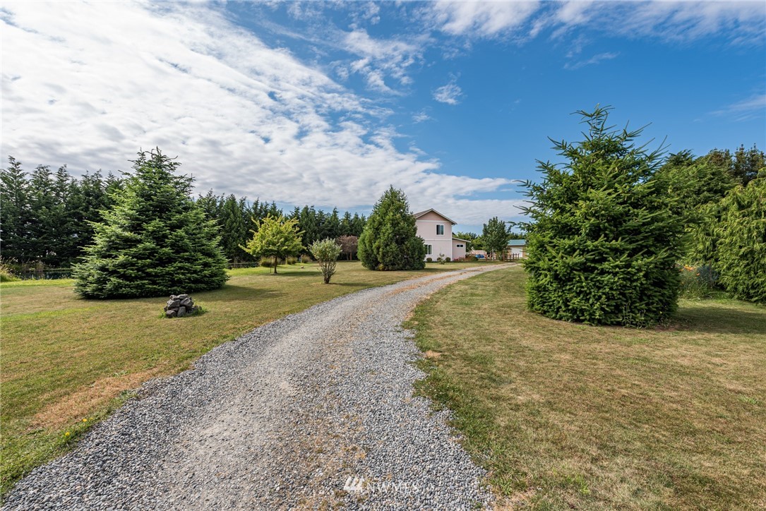 139 Buckhorn Road Sequim, WA 98382 - Photo 29 of 29 a view of a yard with plants and large trees