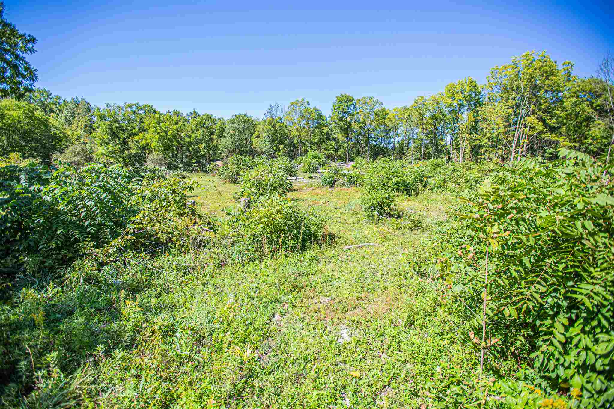66677 Millet Road Lakeville, IN 46536 - Photo 28 of 36 Gallery Image 28