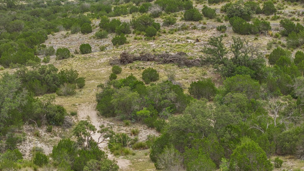 45475 None Rocksprings, TX 78880 - Photo 27 of 43