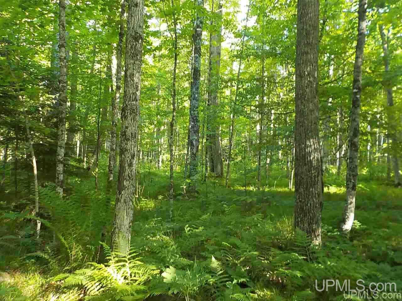 35-ac Sheltrow Road Crystal Falls, MI 49920 - Photo 20 of 23