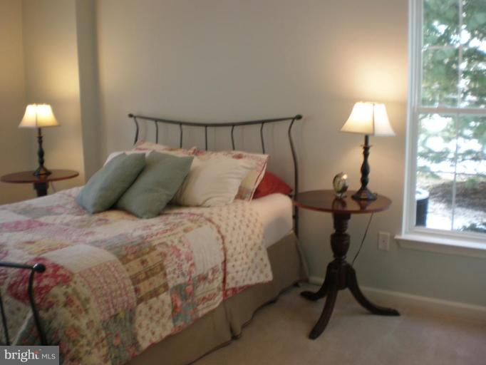4848 Shellbark Road, Unit 4848 Owings Mills, MD 21117 - Photo 20 of 25 Master Bedroom #3