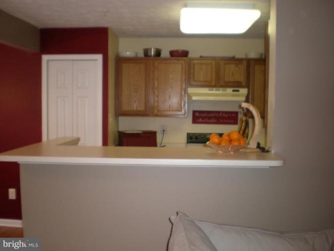 4848 Shellbark Road, Unit 4848 Owings Mills, MD 21117 - Photo 10 of 25 Kitchen #2