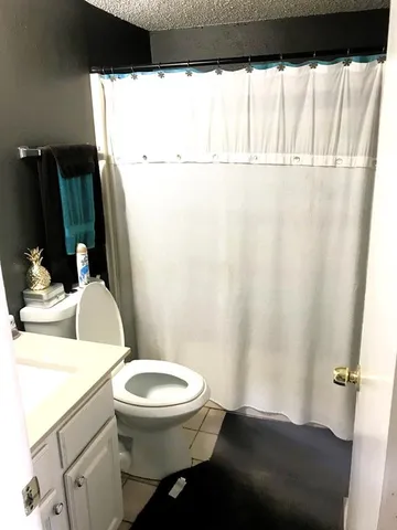 a bathroom with a sink a toilet a mirror and shower curtain