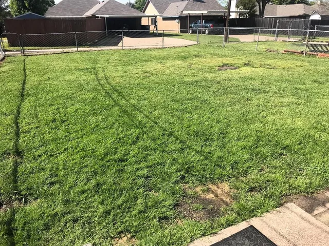 a view of yard with green space