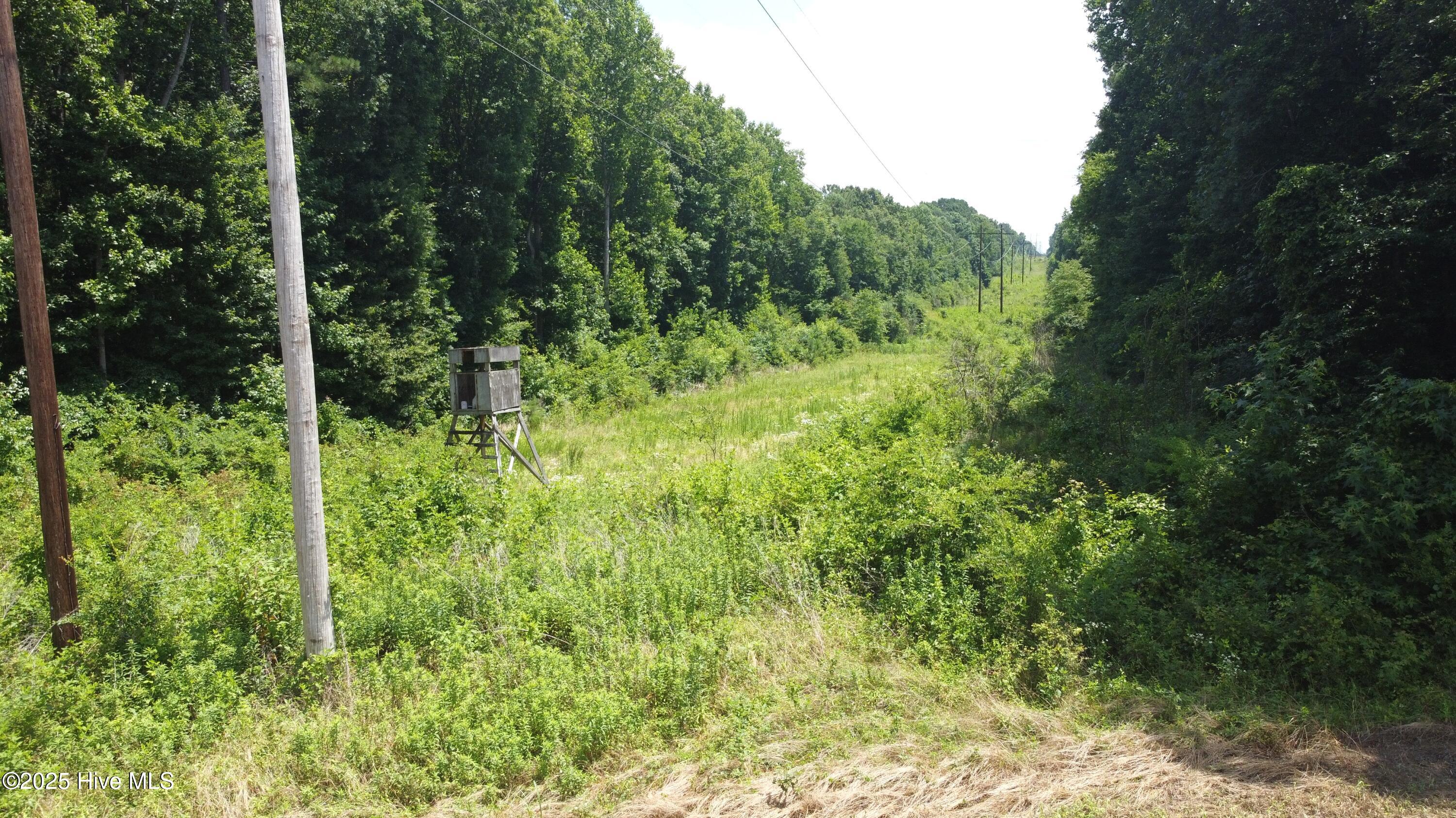 0 Jackson Road Nashville, NC 27856 - Photo 11 of 15 DJI_0063