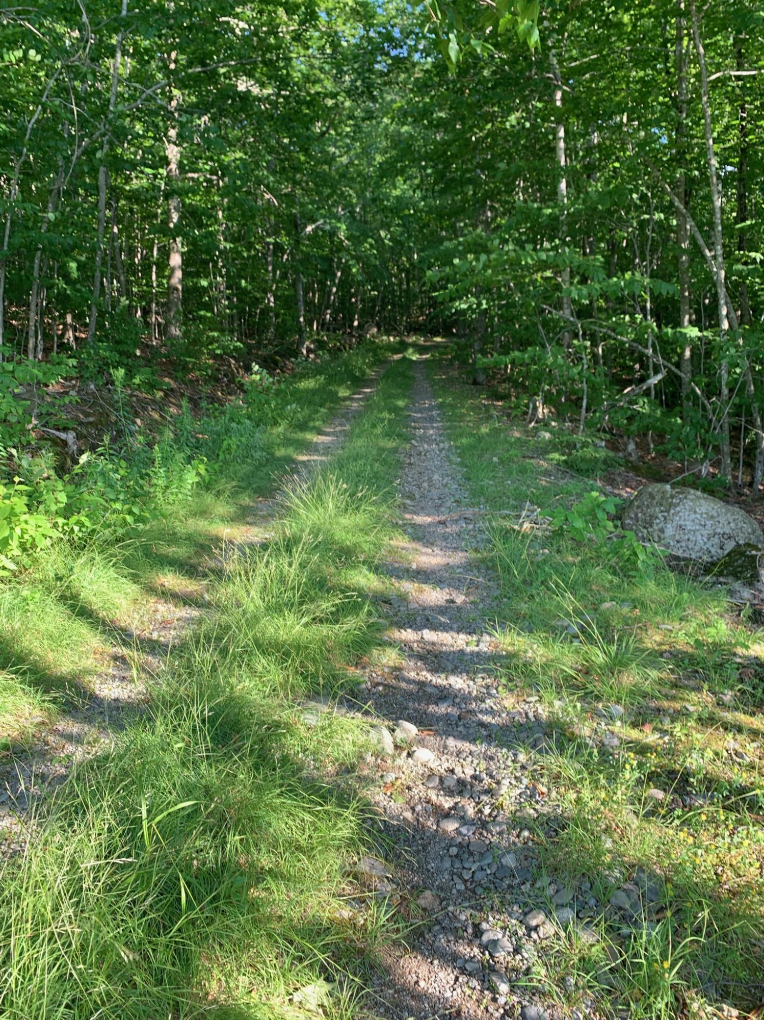 9 Map Road St. Albans, ME 04971 - Photo 3 of 14 IMG_0005