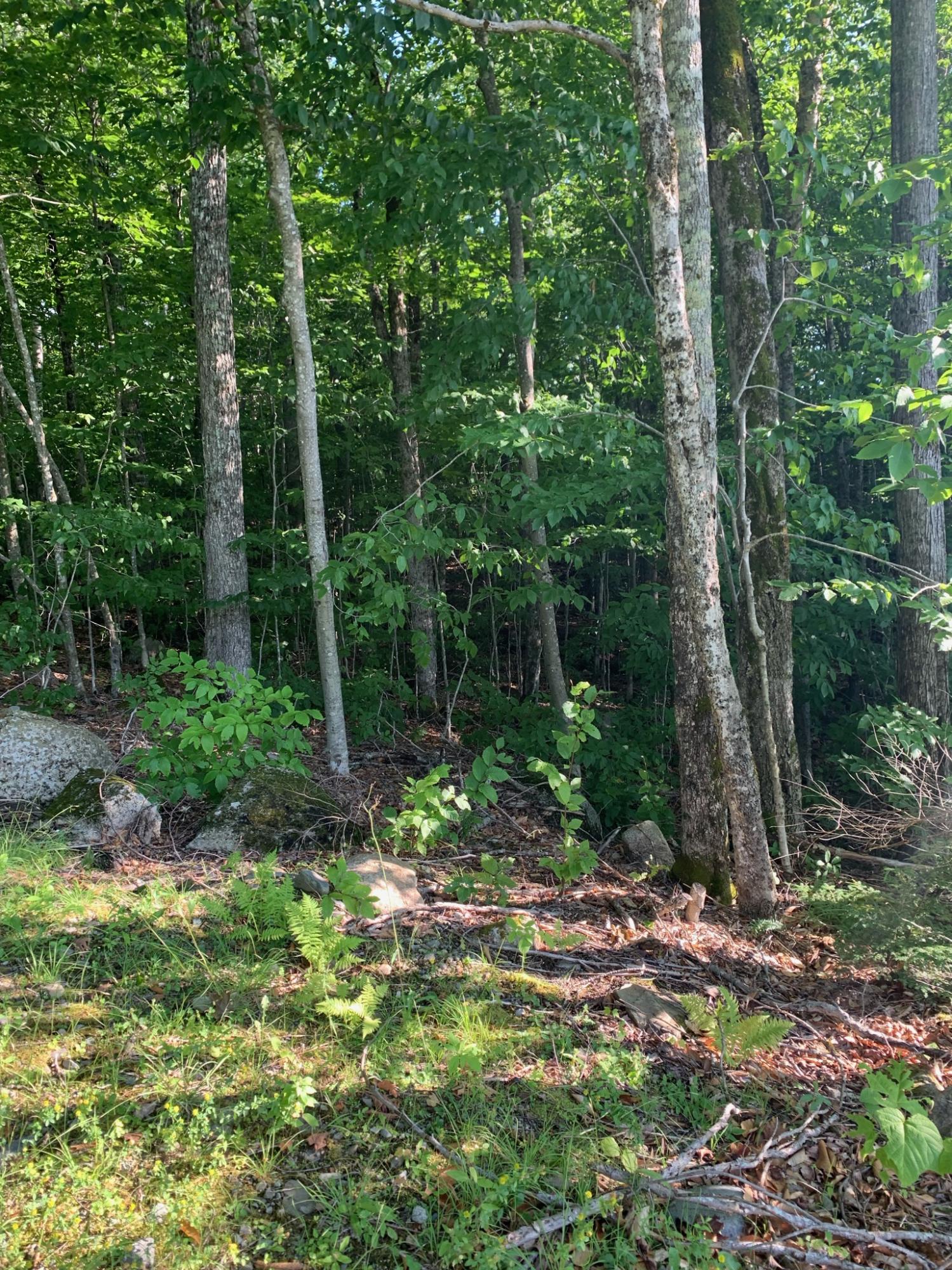 9 Map Road St. Albans, ME 04971 - Photo 4 of 14 IMG_0006