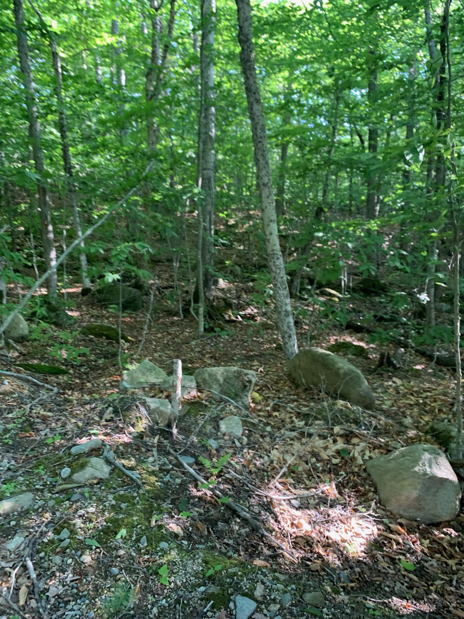 9 Map Road St. Albans, ME 04971 - Photo 5 of 14 IMG_0007