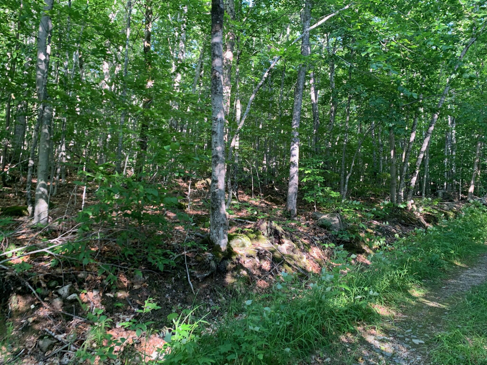 9 Map Road St. Albans, ME 04971 - Photo 6 of 14 IMG_0008