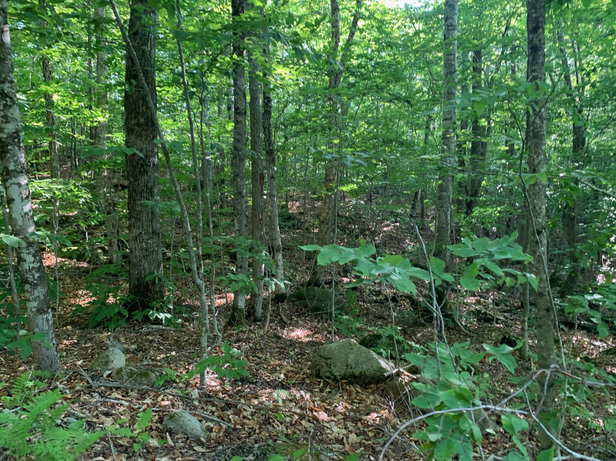 9 Map Road St. Albans, ME 04971 - Photo 7 of 14 IMG_0009