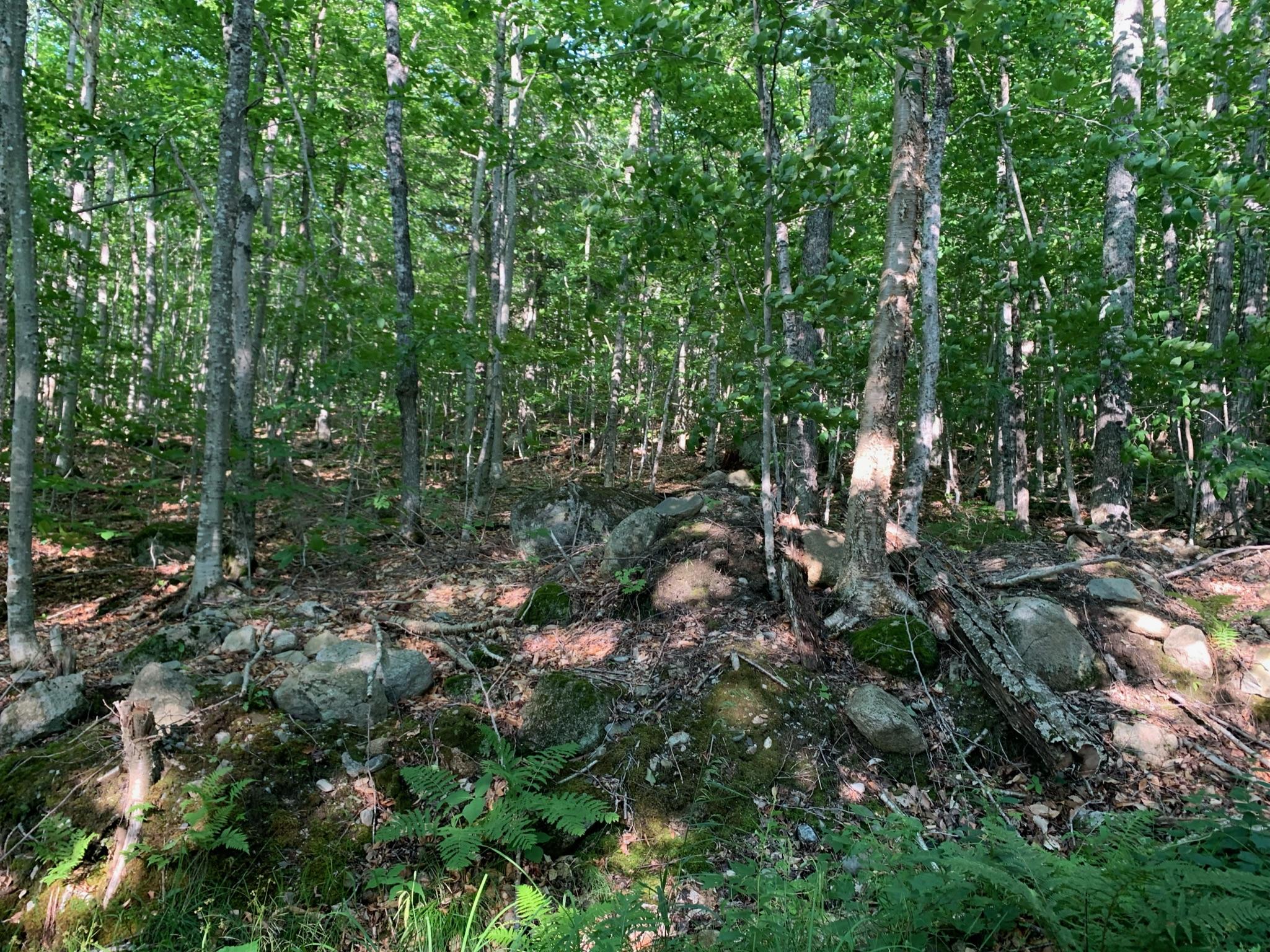 9 Map Road St. Albans, ME 04971 - Photo 8 of 14 IMG_0010