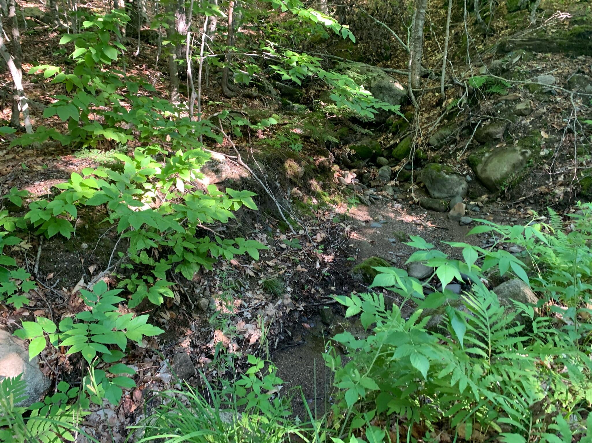 9 Map Road St. Albans, ME 04971 - Photo 9 of 14 IMG_0011