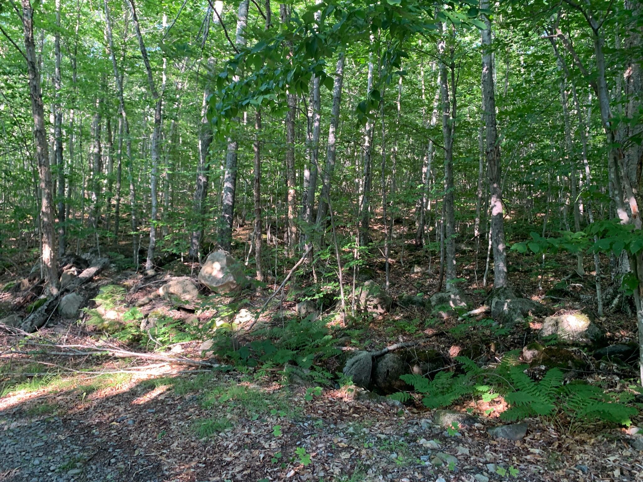 9 Map Road St. Albans, ME 04971 - Photo 10 of 14 IMG_0013