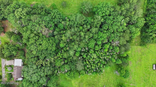 $25,000 | 0 Hwy 13 Mendenhall Ms 39114, Mendenhall, MS 39114