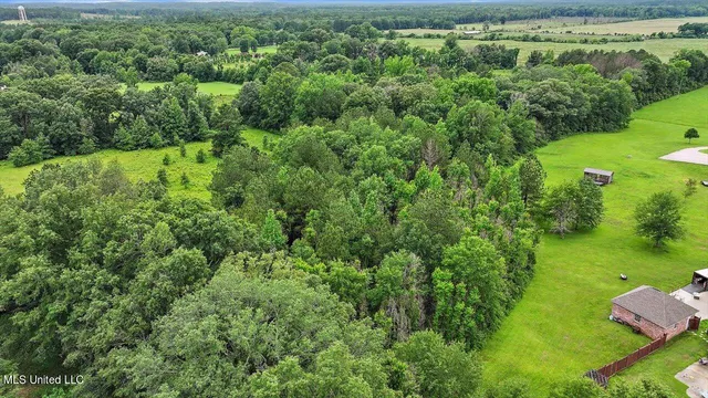 $25,000 | 0 Hwy 13 Mendenhall Ms 39114, Mendenhall, MS 39114