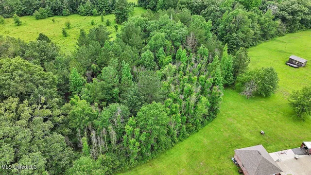 $25,000 | 0 Hwy 13 Mendenhall Ms 39114, Mendenhall, MS 39114